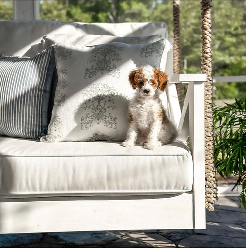 Small dog sitting on a Nate and Lane swing bed with decorative pillows outdoors.