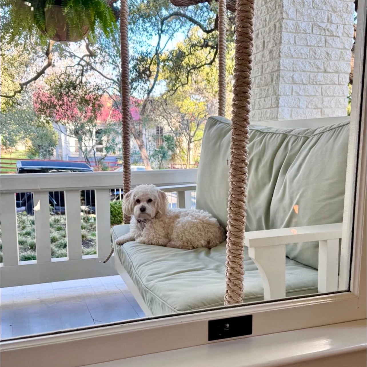 Rope Wrapped Chain Swing Haning Hardware on Austin Texas Front Porch